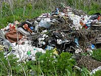 Кто превращает город в большой мусорный полигон? (фото №8).