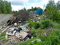 Кто превращает город в большой мусорный полигон? (фото №1).