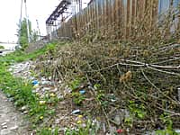 Кто превращает город в большой мусорный полигон? (фото №4).