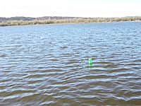 На Куйбышевском водохранилище установлены искусственные нерестилища (фото №2).