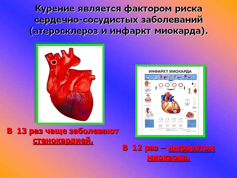 Курение – фактор риска сердечно-сосудистых заболеваний.