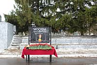 Канашцы скорбят о погибших в «Крокус Сити Холле» (фото №6).