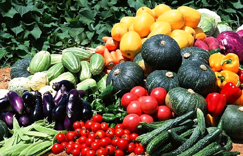 Месячник "Дары осени-2015" стартует в Канаше 22 августа.