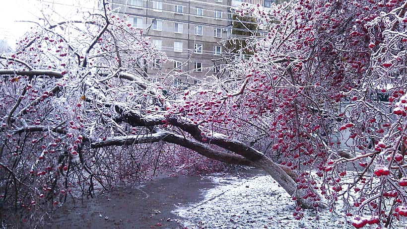 О метеорологических условиях на ближайшие дни.