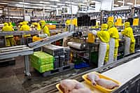 Глава Минсельхоза России Дмитрий Патрушев посетил Канашский район (фото №5).