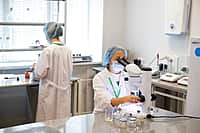 Глава Минсельхоза России Дмитрий Патрушев посетил Канашский район (фото №7).