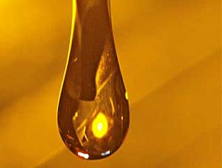 Мониторинг цен на ГСМ по состоянию на 5 декабря 2016 года по городу Канаш.