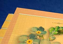 Моногород Канаш и Кадетский корпус профинансированы деньгами дольщиков «Стройсферы».