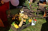 Как настоящий акатуй прошел День деревни Сугайкасы, отмечающей 225-летие (фото №28).