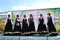 Как настоящий акатуй прошел День деревни Сугайкасы, отмечающей 225-летие (фото №42).