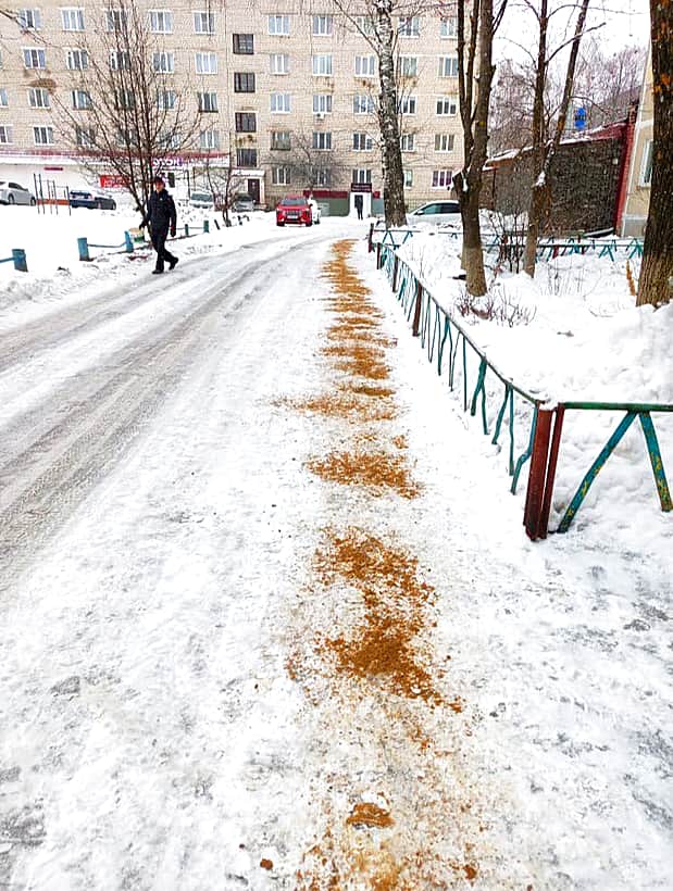 Контроль ситуации по содержанию дорог в Канаше.