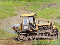 Они вновь заняты восстановлением пруда их детства (фото №2).