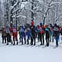 Определены победители и призеры чемпионата и первенства города Канаш по лыжным гонкам.