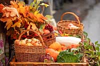В текущем году традиционные осенние ярмарки «Дары осени» пройдут с 12 сентября по 4 октября.