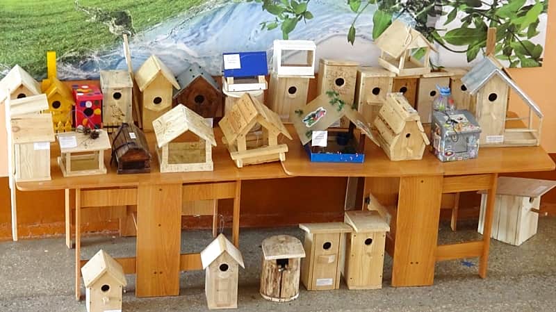Подведены итоги городского конкурса скворечников и кормушек.