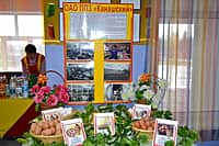 "Поклон труду крестьянскому" - земледельцы Канашского района сегодня отмечают профессиональный праздник (фото №4).