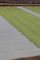 Пора шнуровать бутсы? В Канаше завершается строительство футбольного поля на стадионе «Локомотив» (фото №2).