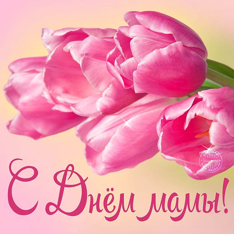 Поздравление Главы города Канаш Андрея Константинова и Главы администрации города Канаш Виталия Михайлова с Днем матери.