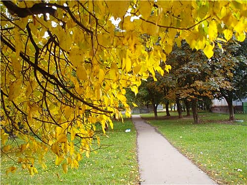 Прогноз погоды: Лето стало «бабьим», но осталось жарким.