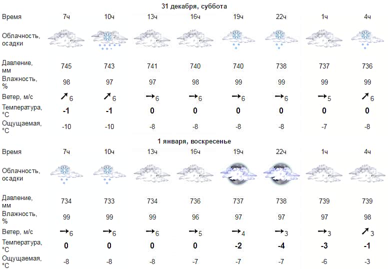Прогноз погоды: Новый год в Чувашии начнется с мокрого снега и дождя.
