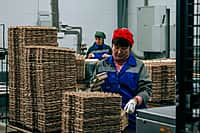 В 2024 году производство яиц в Чувашии намерены увеличить на треть (фото №2).