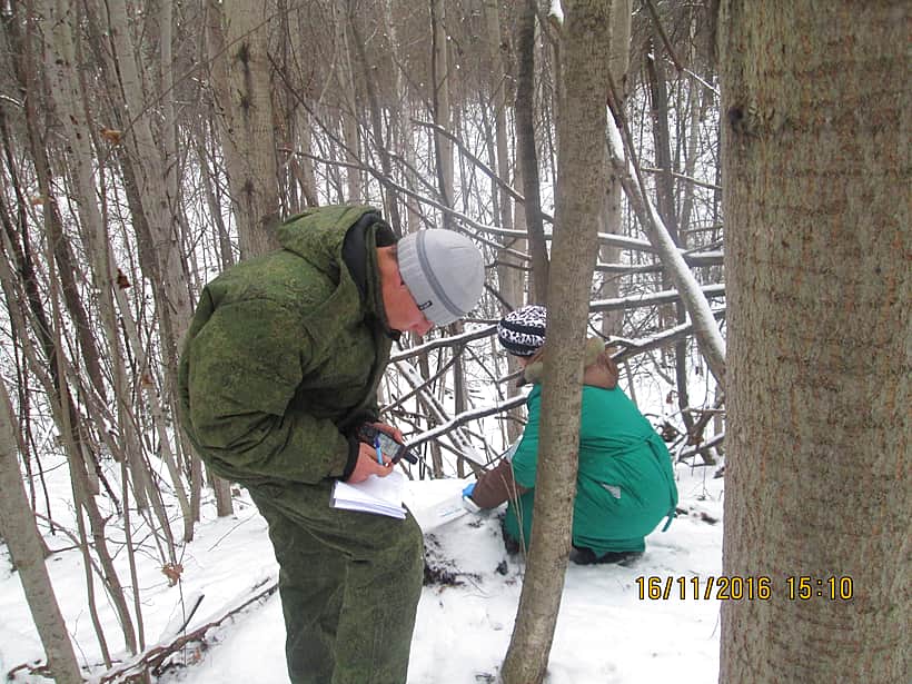 Проведена раскладка вакцины для оральной иммунизации диких животных против бешенства.