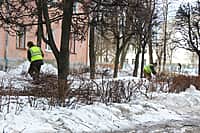 О проводимых работах по благоустройству города с наступлением весенне-летнего периода рассказал глава администрации г. Канаш (фото №8).