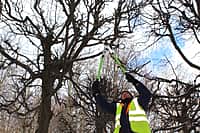 О проводимых работах по благоустройству города с наступлением весенне-летнего периода рассказал глава администрации г. Канаш (фото №11).