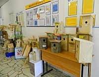 Работники Канашского лесничества организовали для юных лесоводов конкурс на изготовление лучшего скворечника (фото №3).