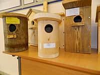 Работники Канашского лесничества организовали для юных лесоводов конкурс на изготовление лучшего скворечника (фото №5).