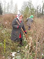 Работники культуры Вутабосинского сельского поселения в рамках осеннего месячника по благоустройству, озеленению, санитарной очистке населенных пунктов, благоустроили спортивную площадку (фото №4).