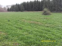 Работники культуры Вутабосинского сельского поселения в рамках осеннего месячника по благоустройству, озеленению, санитарной очистке населенных пунктов, благоустроили спортивную площадку (фото №7).