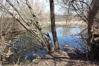 Река Аниш в черте г. Канаш находится на грани гибели (фото №10).