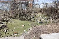 Река Аниш в черте г. Канаш находится на грани гибели (фото №2).