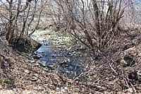 Река Аниш в черте г. Канаш находится на грани гибели (фото №4).