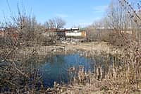 Река Аниш в черте г. Канаш находится на грани гибели (фото №8).