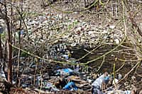 Река Аниш в черте г. Канаш находится на грани гибели (фото №9).