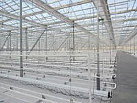 «Ренова» построит в Чувашии теплицы для выращивания овощей (фото №3).