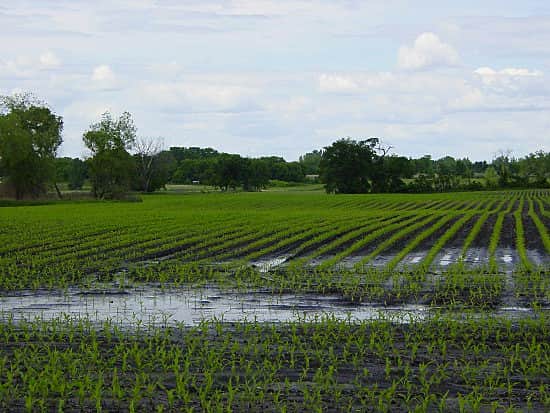 В Республике отмечено опасное агрометеорологическое явление «переувлажнение почвы».