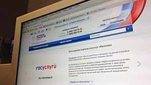 Российский паспорт через Интернет.