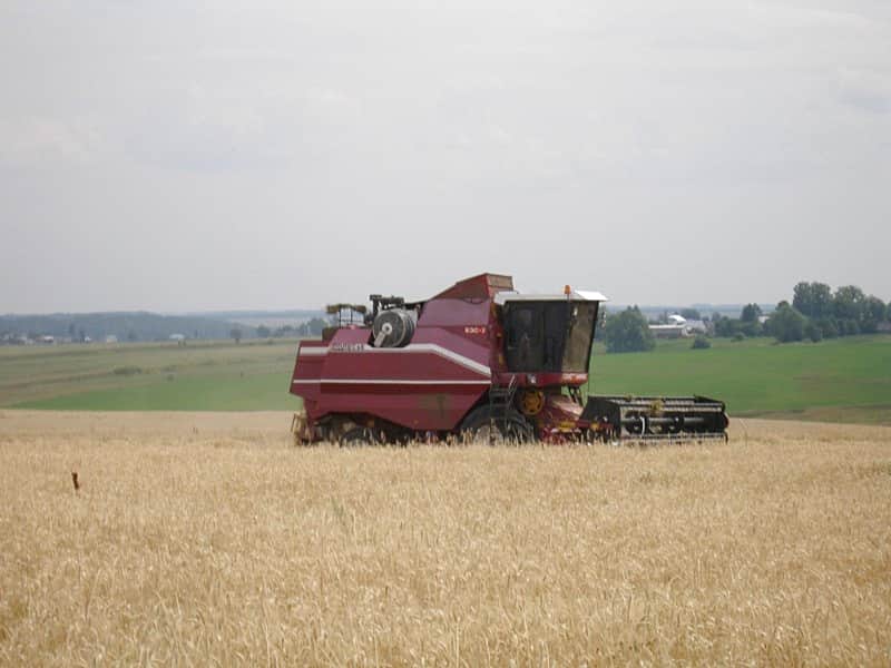 Рост производства сельхозпродукции в Канашском районе в 2015 г. составил 108,8%.