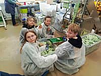 Учащиеся школы №3 г. Канаш в новогодние каникулы посетили СППК «Мелилотус» (фото №3).