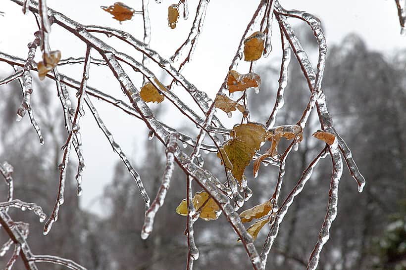 Снегопады в Чувашии сменит оттепель. В Чувашии в выходные ожидаются снегопады и мокрый снег.