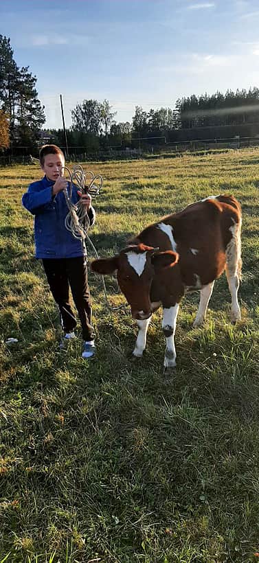 Соцконтракт на ЛПХ помог многодетной семье Канашского района приобрести сельхозоборудование.
