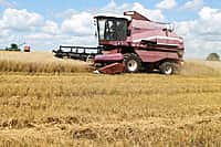 Состоялась рабочая поездка врио Главы Чувашии Михаила Игнатьева в Канашский район (фото №2).