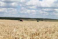 Состоялась рабочая поездка врио Главы Чувашии Михаила Игнатьева в Канашский район (фото №4).