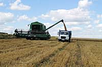 Состоялась рабочая поездка врио Главы Чувашии Михаила Игнатьева в Канашский район (фото №5).