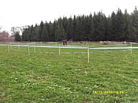 Состоялись республиканские соревнования по биатлону памяти бывшего главы администрации Канашского района Юрия Краснова (фото №2).