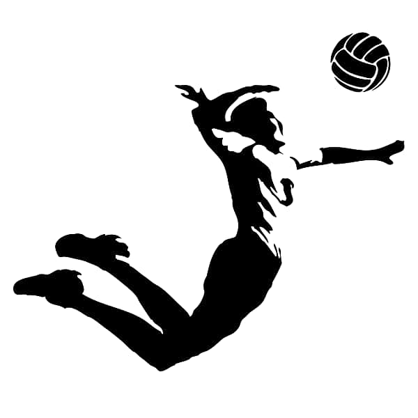 Состоялось организационное собрание участников стартующего чемпионата города Канаш по волейболу среди мужских команд сезона 2016 года.