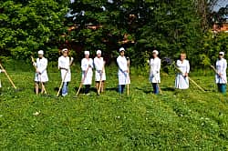 Специалисты БУ ЧР "Чувашская республиканская ветлаборатория" Госветслужбы Чувашии заготавливают корма для лабораторных животных.